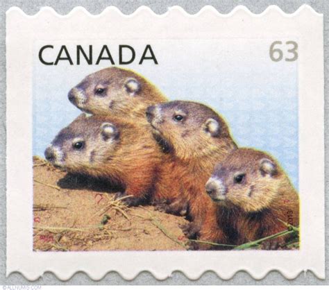 63 cents 2013 - Baby woodchucks, Animal, wild - Canada - Stamp - 23212