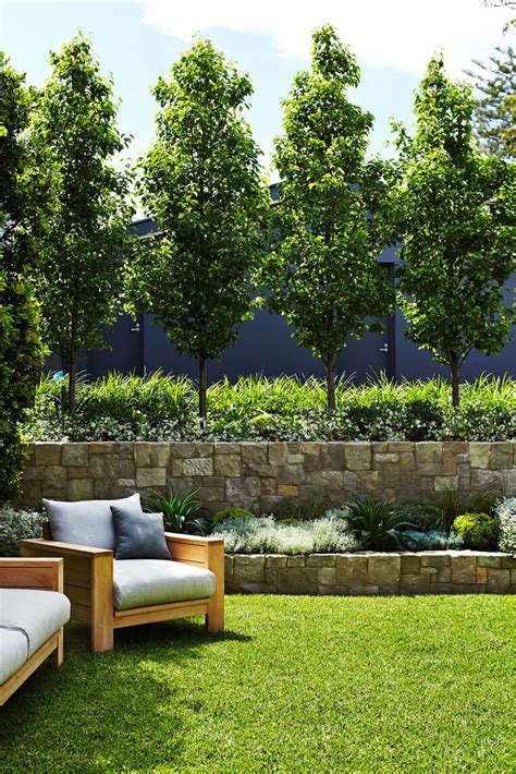 Mosman | Outdoor landscape design, Outdoor landscaping, Modern landscape design