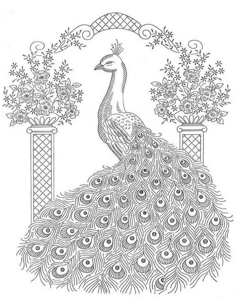 Pin by Rosemarie Sancho on Para Pintar Pavos | Peacock coloring pages ...