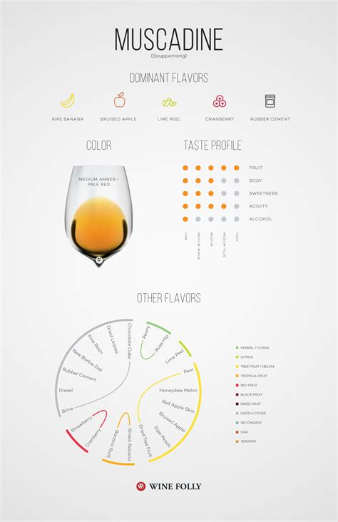 Guide to Muscadine Wine | Wine Folly