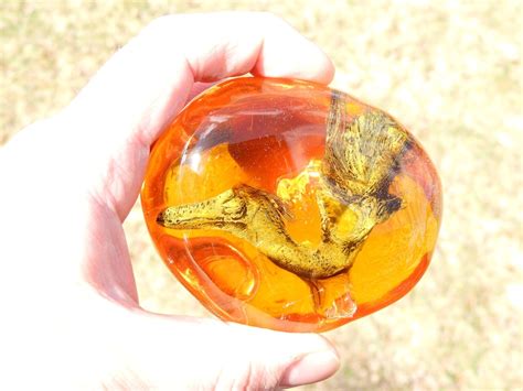 Feathered Dinosaur Preserved in Amber Fossil Hatchling Replica | Etsy