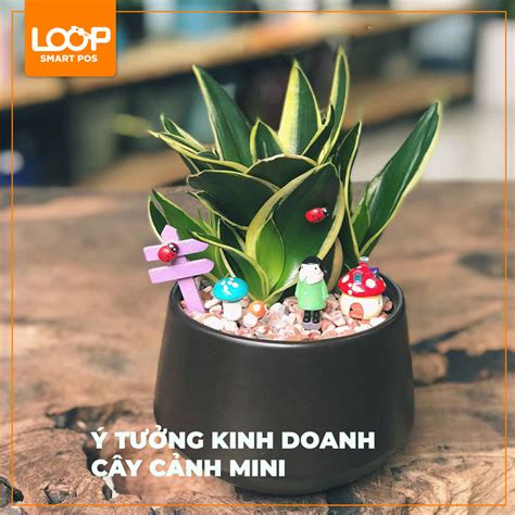 Ý Tưởng Kinh Doanh Cây Cảnh Mini: Con Đường Làm Giàu Nhanh Nhất