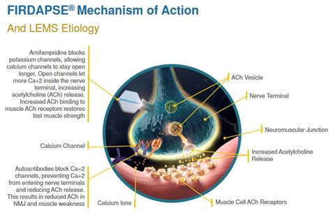 Catalyst Pharmaceuticals: Beaten-Down Orphan Drug Company And A ...