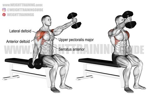 Seated alternating dumbbell front raise exercise instructions and video