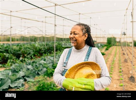 Happy African farmer working inside agricultural greenhouse - Farm ...