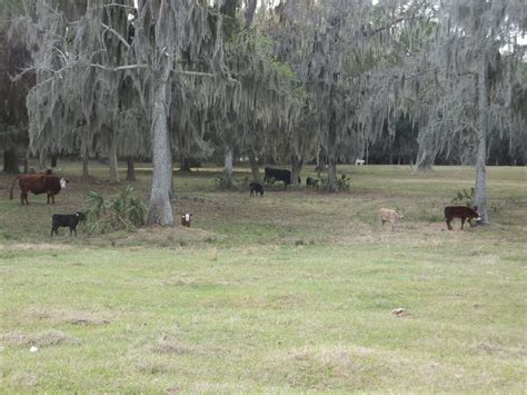 Gainesville Farm Pix | Transfer Station