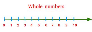 Whole Numbers Examples