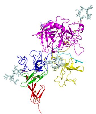 How Does Tissue Plasminogen Activator Work - Pediaa.Com