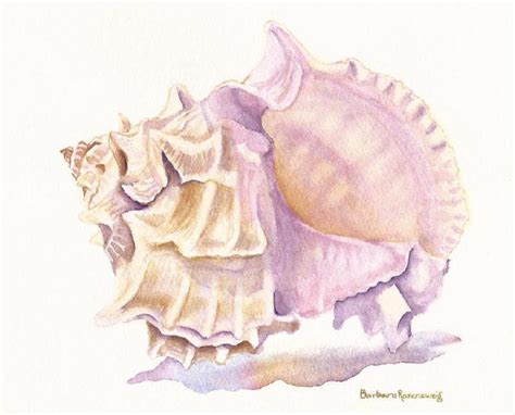 Seashell Painting Shell Beach Art Print Sea by BarbaraRosenzweig