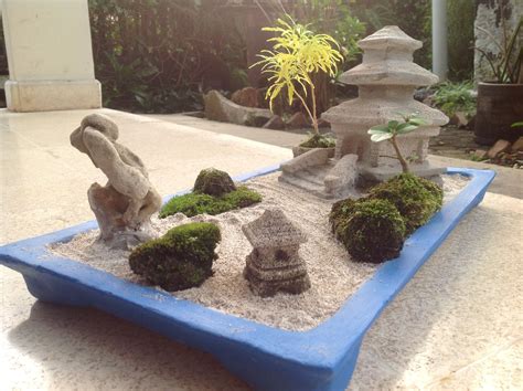 18+ Mini Bonsai Zen Garden