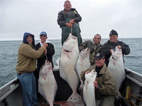 Alaska Halibut Fishing Charters, Guided Halibut Fishing Trips