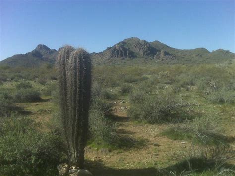 The Phoenix Mountain Preserve | Scottsdale Property Shop