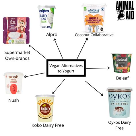 A Guide to Vegan Dairy Alternatives - Animal Aid