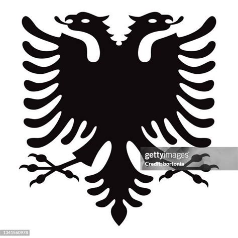 1,579 Albanian Flag Stock Photos, High-Res Pictures, and Images - Getty ...