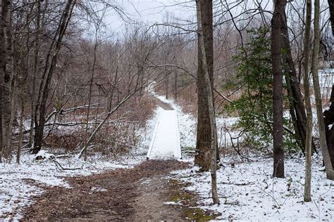 Hiking in New River Gorge National Park [Trail Guide]