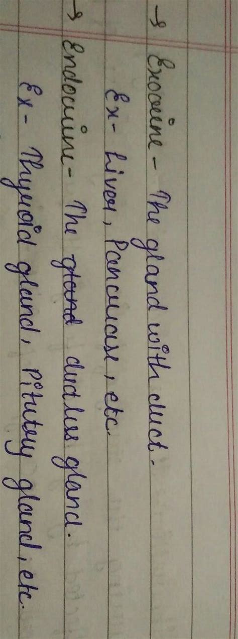 Difference between ductless glands and duct glands - Brainly.in