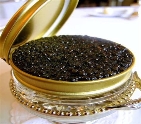 Israel Behind Extinction Of Caspian Sea Caviar - Iran Front Page