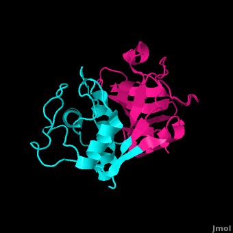 Papain - Proteopedia, life in 3D