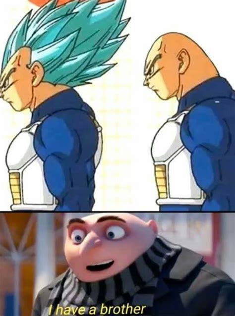 25 Vegeta Memes We Laughed Way Too Hard At