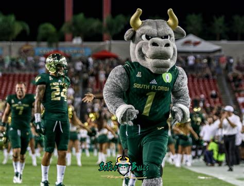 17A – USF vs. ECU 2018 – USF Mascot Rocky D. Bull by Will Turner ...