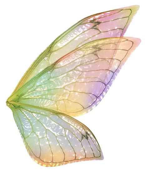 DIGITAL OVERLAYS Png Fairy WINGS Set 6 Digital Wings Fantasy | Etsy in 2021 | Fairy wings ...