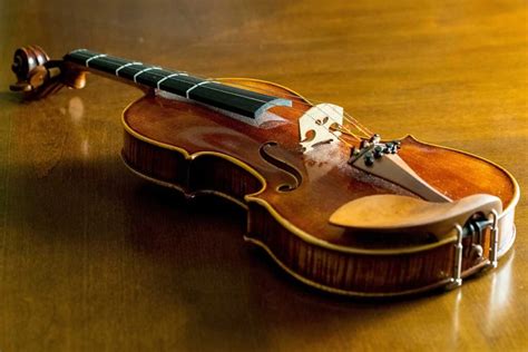 Violin Family - A Quick Guide - Phamox Music