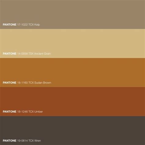 Rich Brown Saturated Color Palette • Download Free Adobe Illustrator ...