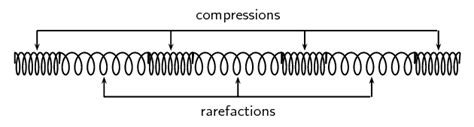 9.2 Compression and rarefaction | Longitudinal waves | Siyavula