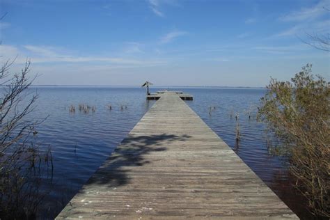 Lake Waccamaw State Park, Columbus County (3-11-14) - dwhike