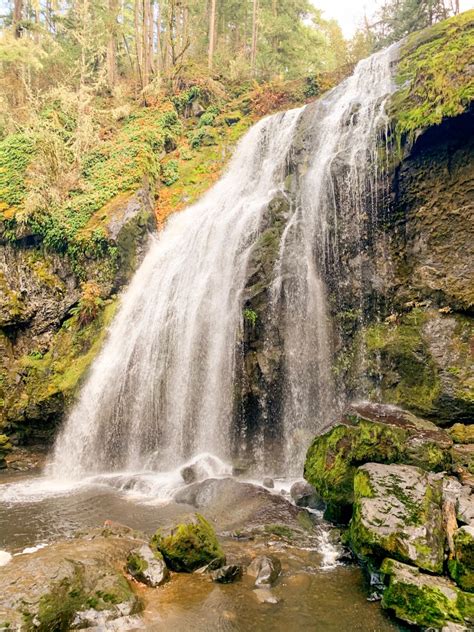 Hiking Little Mashel Falls – Olivia Michelle