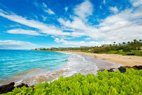 The 5 Best Maui Beaches in 2021 - Hawaii Magazine