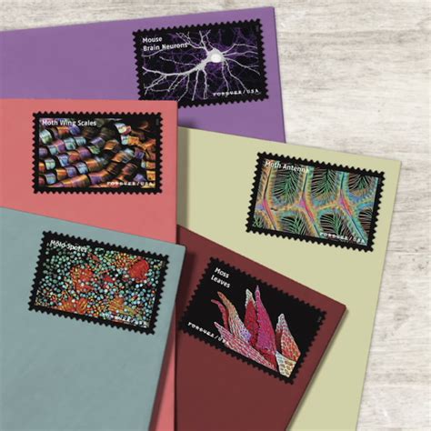 Life Magnified Stamps | USPS.com