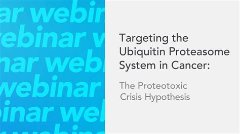 Targeting the Ubiquitin Proteasome System in Cancer: The Proteotoxic ...