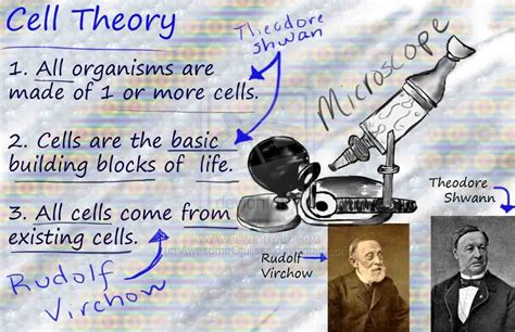 Cell Theory - Biology Resource