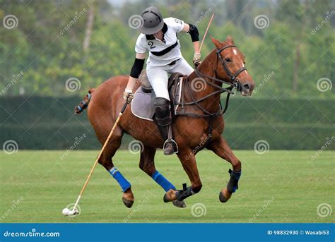 Woman horse polo player editorial image. Image of green - 98832930