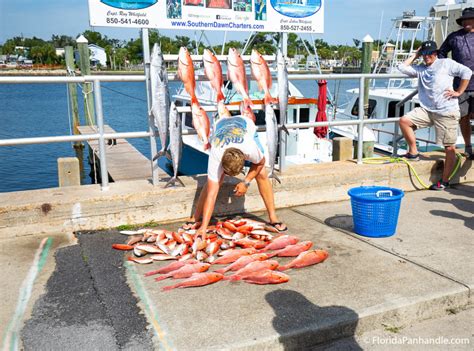 Fisherman's Guide to Deep Sea Fishing in Panama City Beach