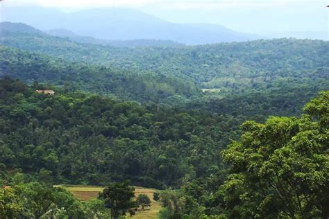 Coorg Hill Station - Sightseeing spot, Things to do, How reach, time