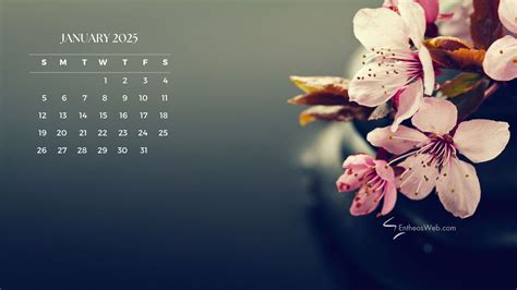 Laptop Calendar Wallpaper 2025 - Jody Rosina