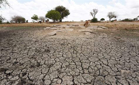 U.S. announces $524 million for Horn of Africa drought; Germany, UK ...