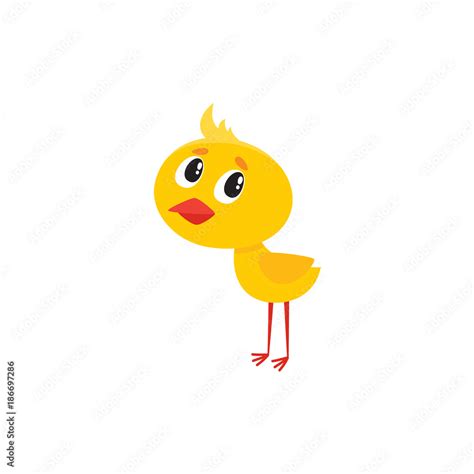 vector cartoon cute baby chicken character. Yellow small funny chick standing alone. Flat bird ...