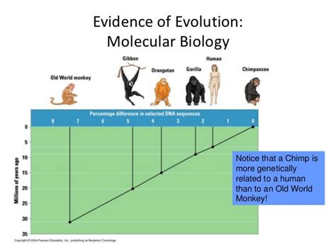 Evolutionary Theory