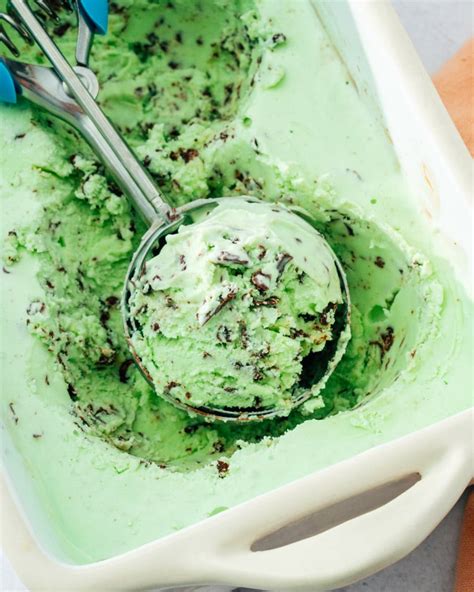 Mint Chocolate Chip Ice Cream – A Couple Cooks