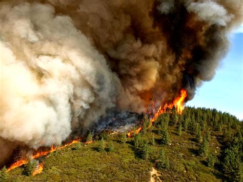 A Plume of Dust - Soil is life.: Understanding Soil