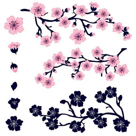 Set of pink sakura flowers. Vector image of a branch of a blossoming ...