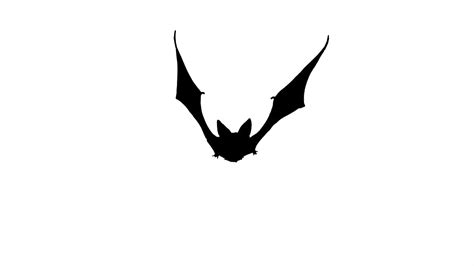 Bat clipart animation, Bat animation Transparent FREE for download on WebStockReview 2023