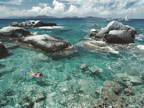 Snorkeling | Virgin Island Sailing School