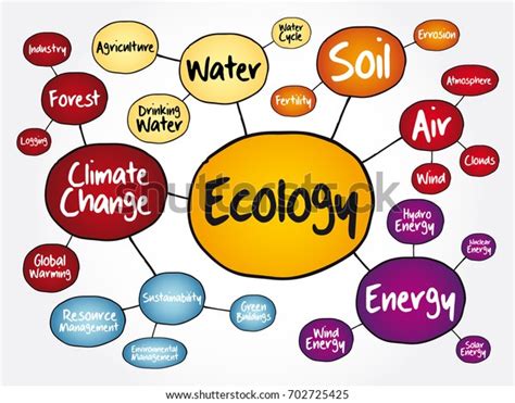 Ecology Mind Map Flowchart Concept Presentations Stock Vector (Royalty ...