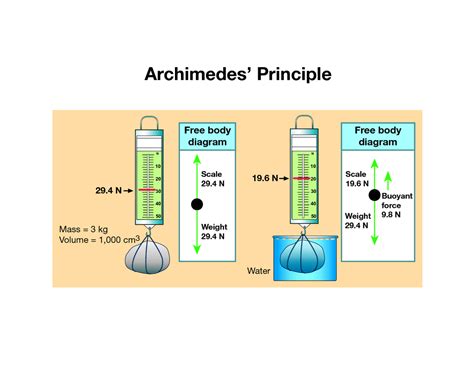 plese define archimedes principle - Science - - 9293637 | Meritnation.com