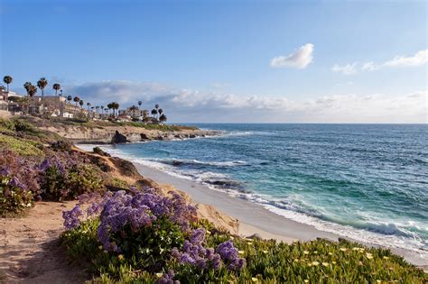 12 Essential Spots In La Jolla