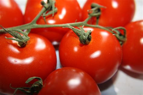 Vine Ripened Tomatoes Picture | Free Photograph | Photos Public Domain